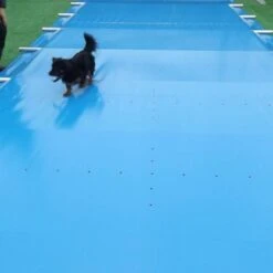Sicherheitsabdeckung Für Ovalformbecken 15 Sicherheitsabdeckung Für Ovalformbecken -Pool-Chlor-Shop Liderpool Schutzabdeckung Sicherheitsabdeckung Pool 4 1280x1280 1